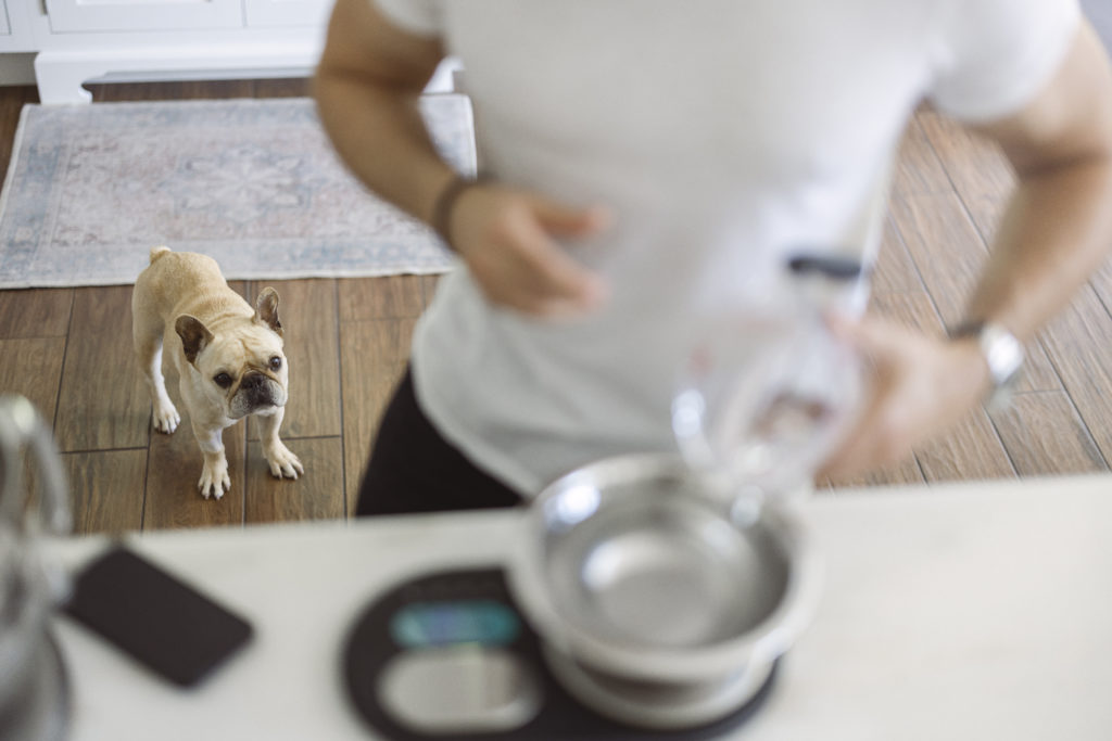 Dog watching Pizza chef prepping pizza dough using a kitchenaid stand mixer