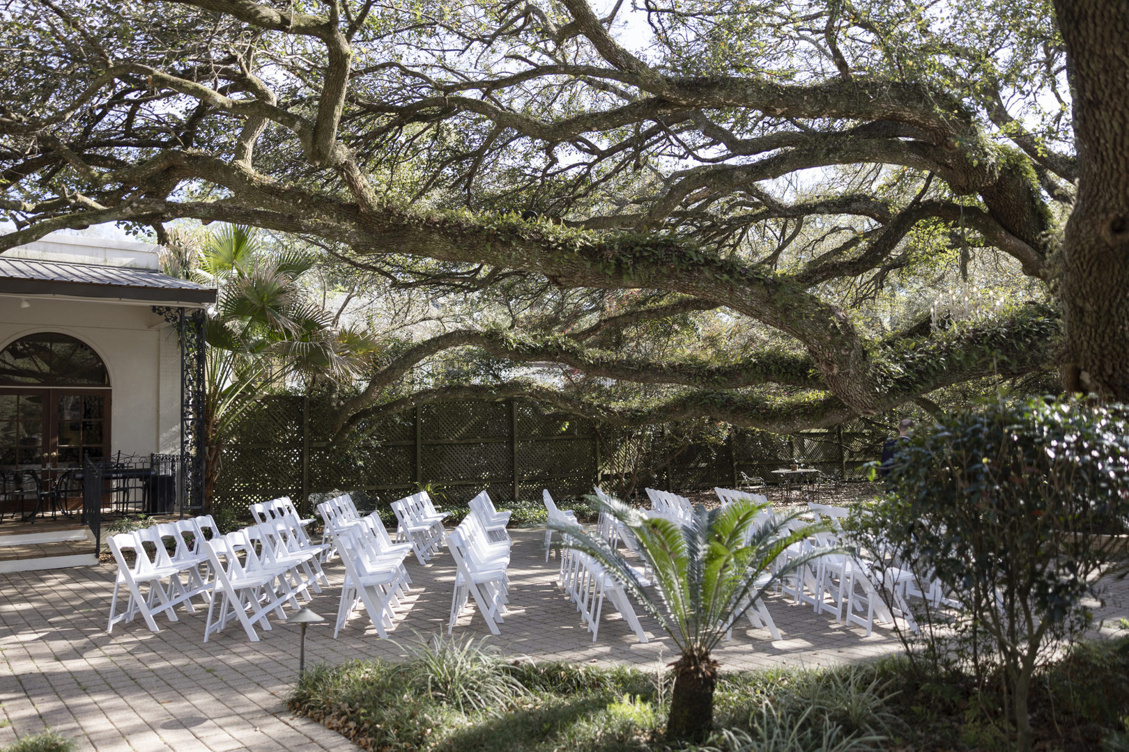 Wedding ceremony setup for a Vintage Court Real Wedding at the big tree in the courtyard