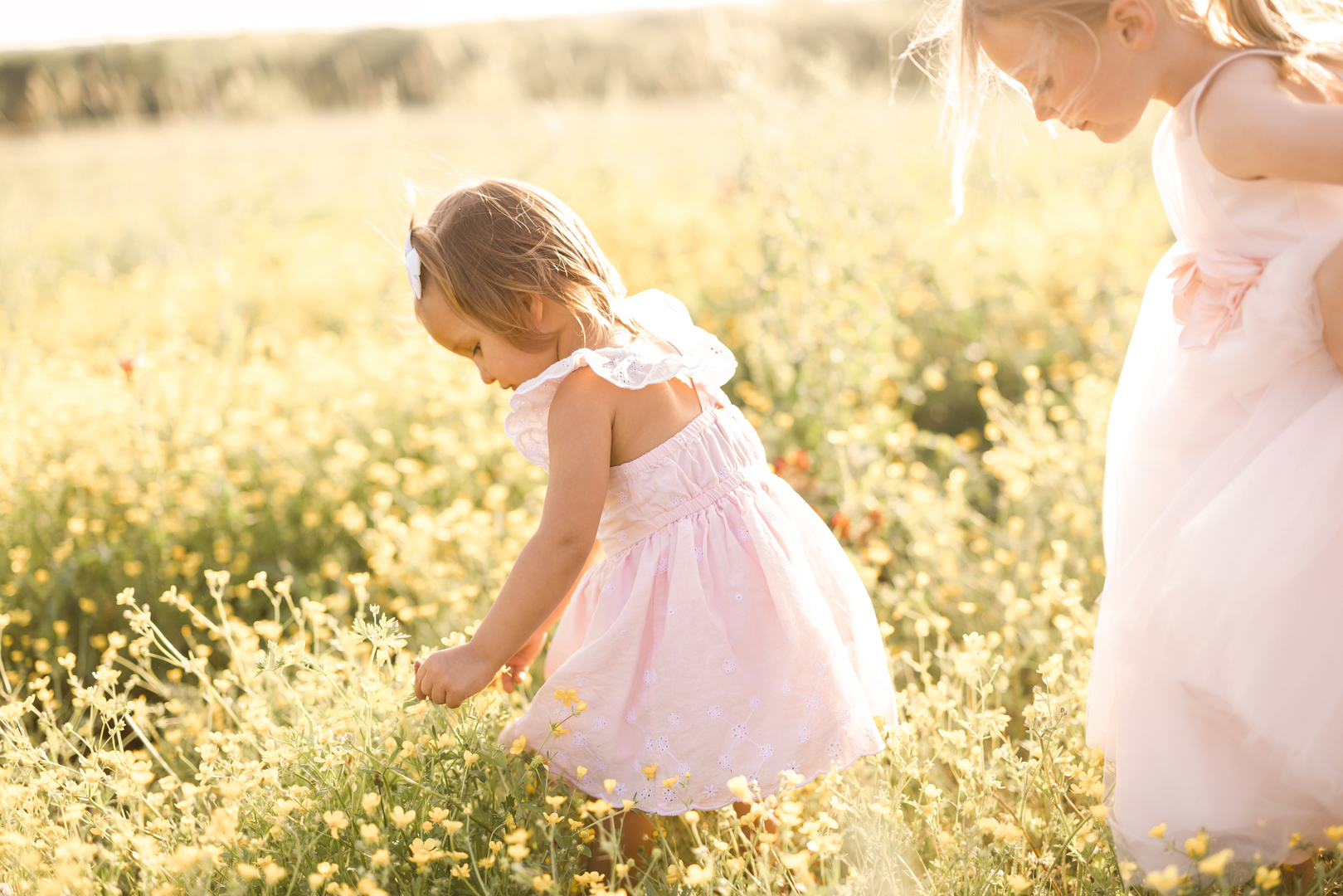 flower girl and young girl in a flower field during a wedding day