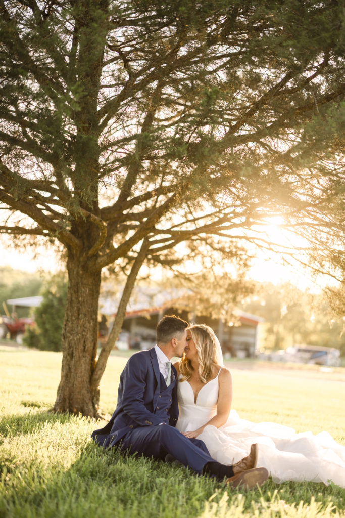 bride and groom sit under a tree kissing for their wedding portraits at allenbrook farms at sunset