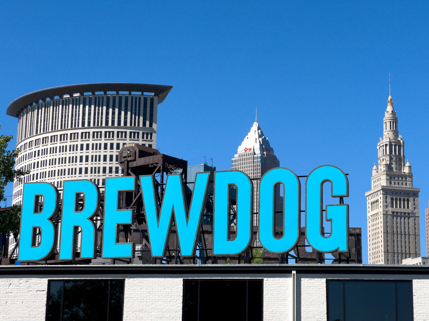 brewdog in downtown cleveland is a great place for non-alcoholic beer