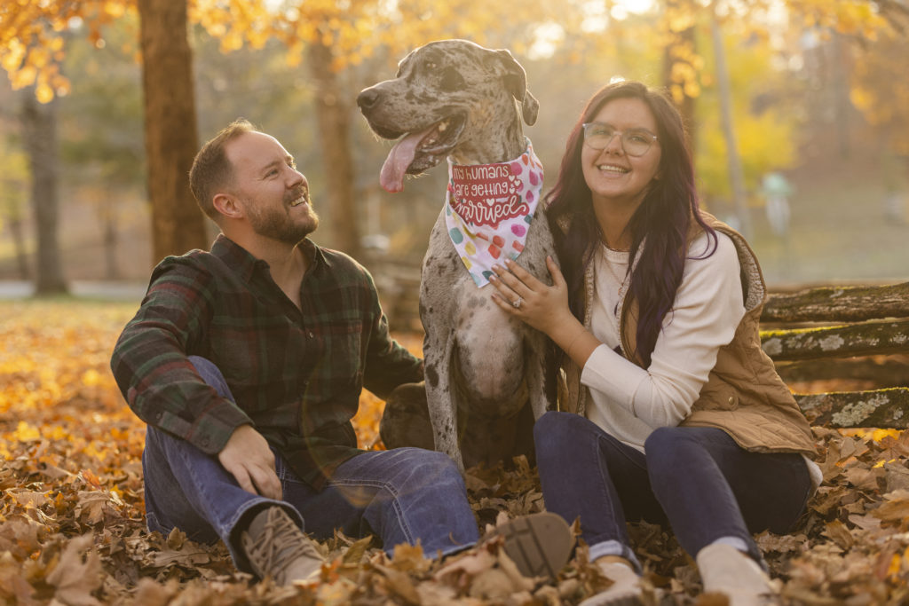 Fall engagement pictures with dog