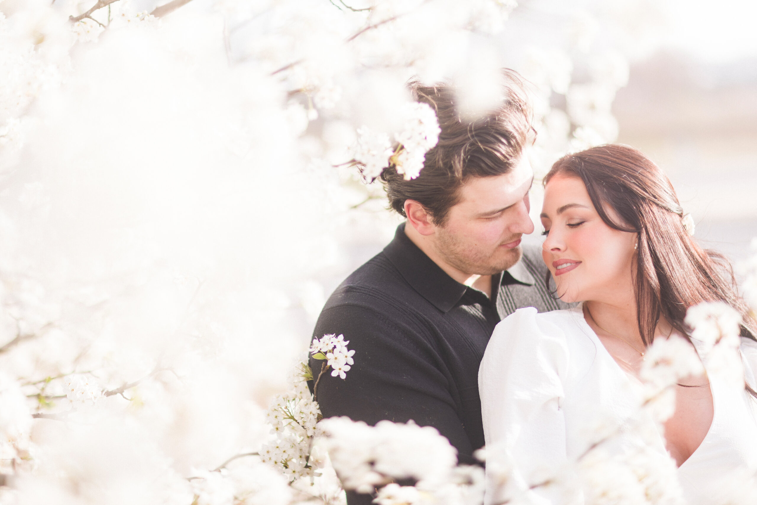 NWA engagement photos with bradford pear trees in full bloom as the bride and groom to be take romantic photographs.